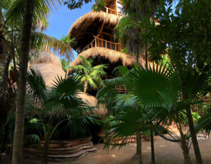 Essence Yoga Retreat Tulum