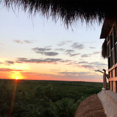 Essence Yoga Retreats