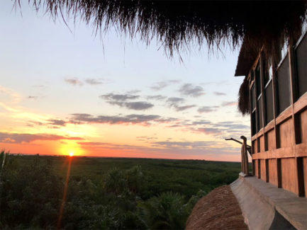 Essence Yoga Retreats