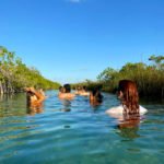 Essence Yoga Retreats