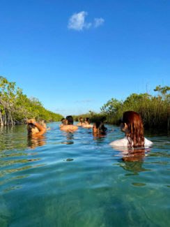 Essence Yoga Retreats