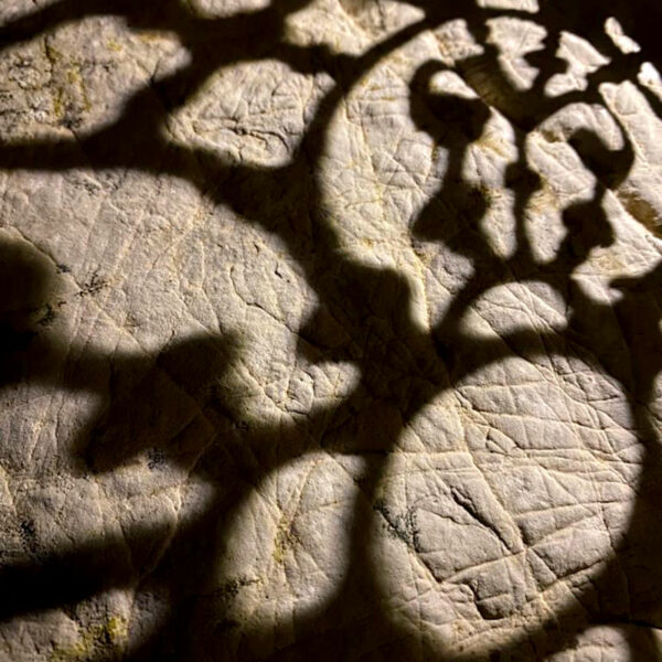 Essence Yoga Retreats Mallorca