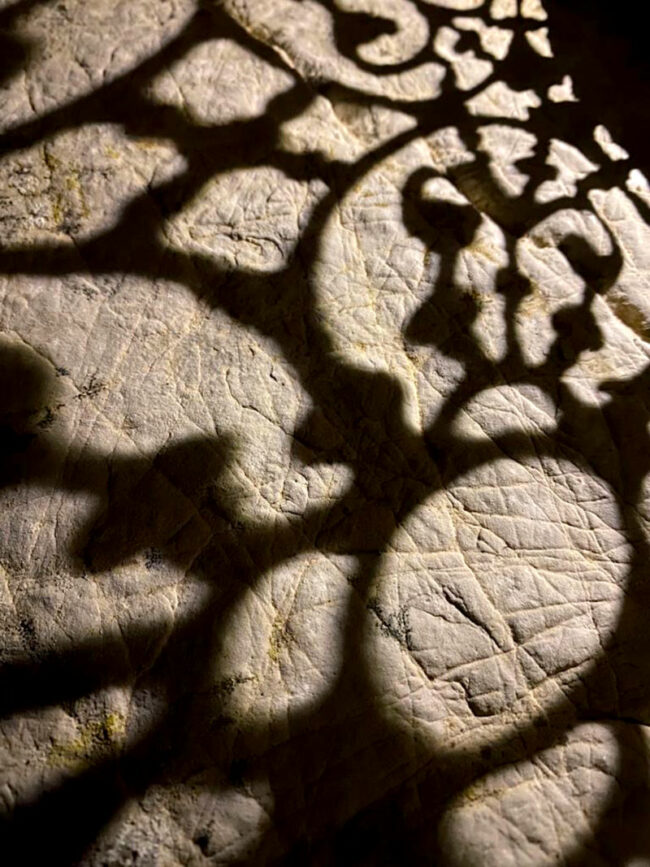 Essence Yoga Retreats Mallorca