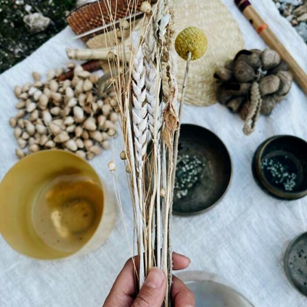 Radiance. Essence Yoga Retreats