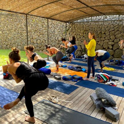 Essence Yoga Retreats 15 image00067 Essence Yoga Retreats