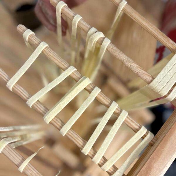 Cheffe Sofia Essence Yoga Retreats