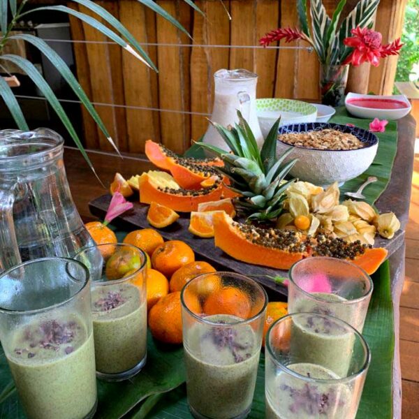 Cheffe Sofia Essence Yoga Retreats