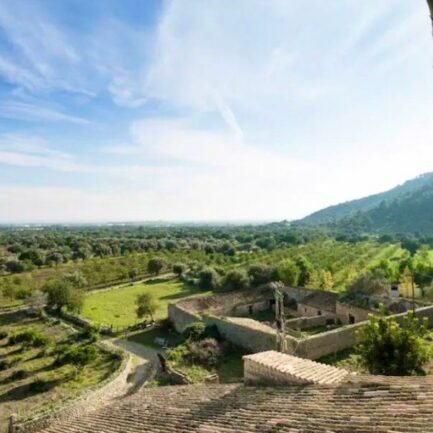 Essence Yoga Retreats 10 WhatsApp Image 2024 05 15 at 09.51.40 2 Essence Yoga Retreats